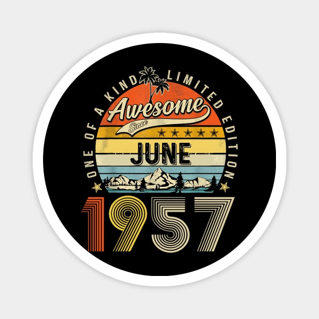 Awesome Since June 1957 Vintage 66th Birthday Magnet by PlumleelaurineArt